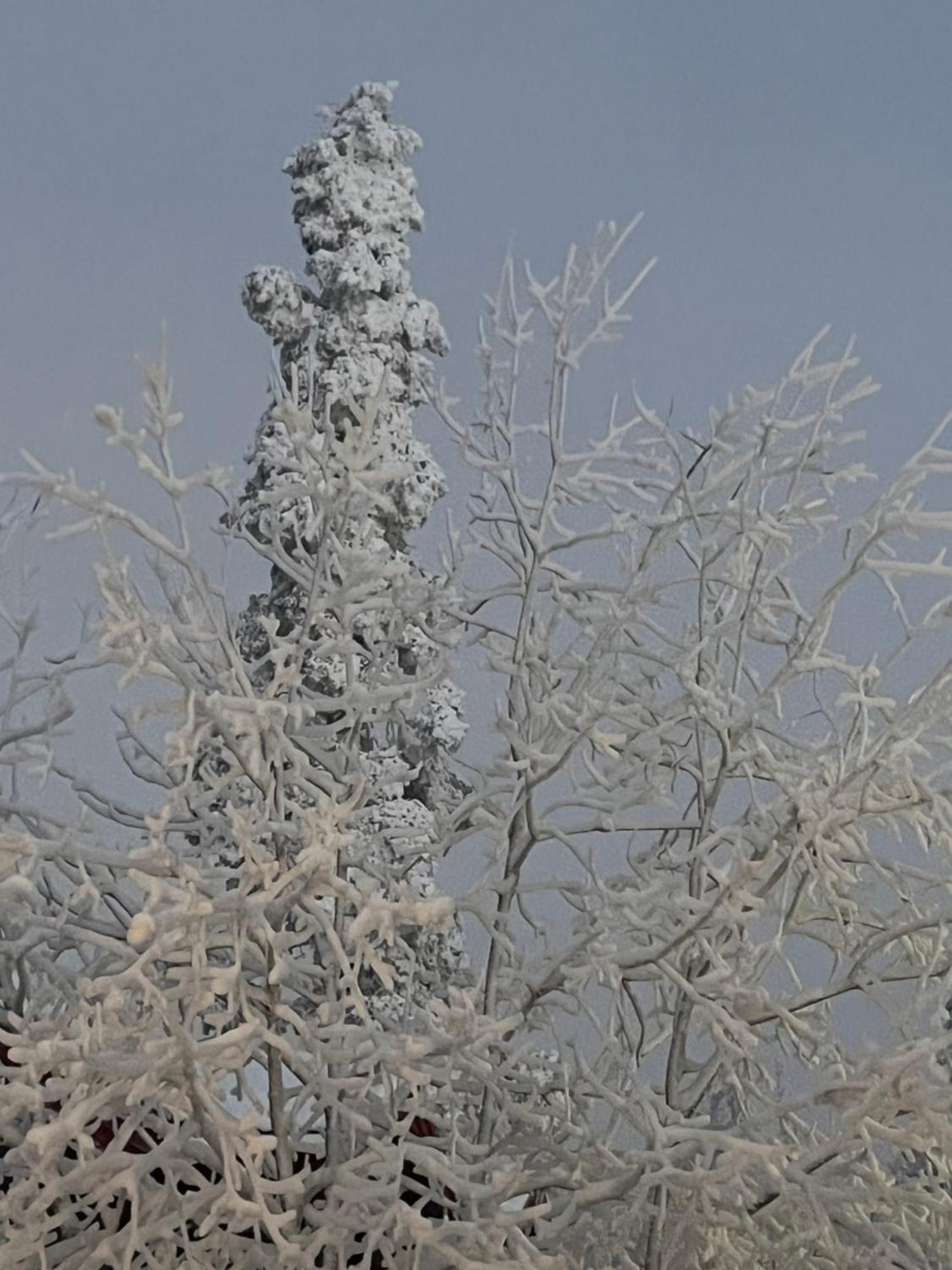 Idre Fjaell, Soederbyn Ski In Ski Out, 30 M Till Pisten Dış mekan fotoğraf