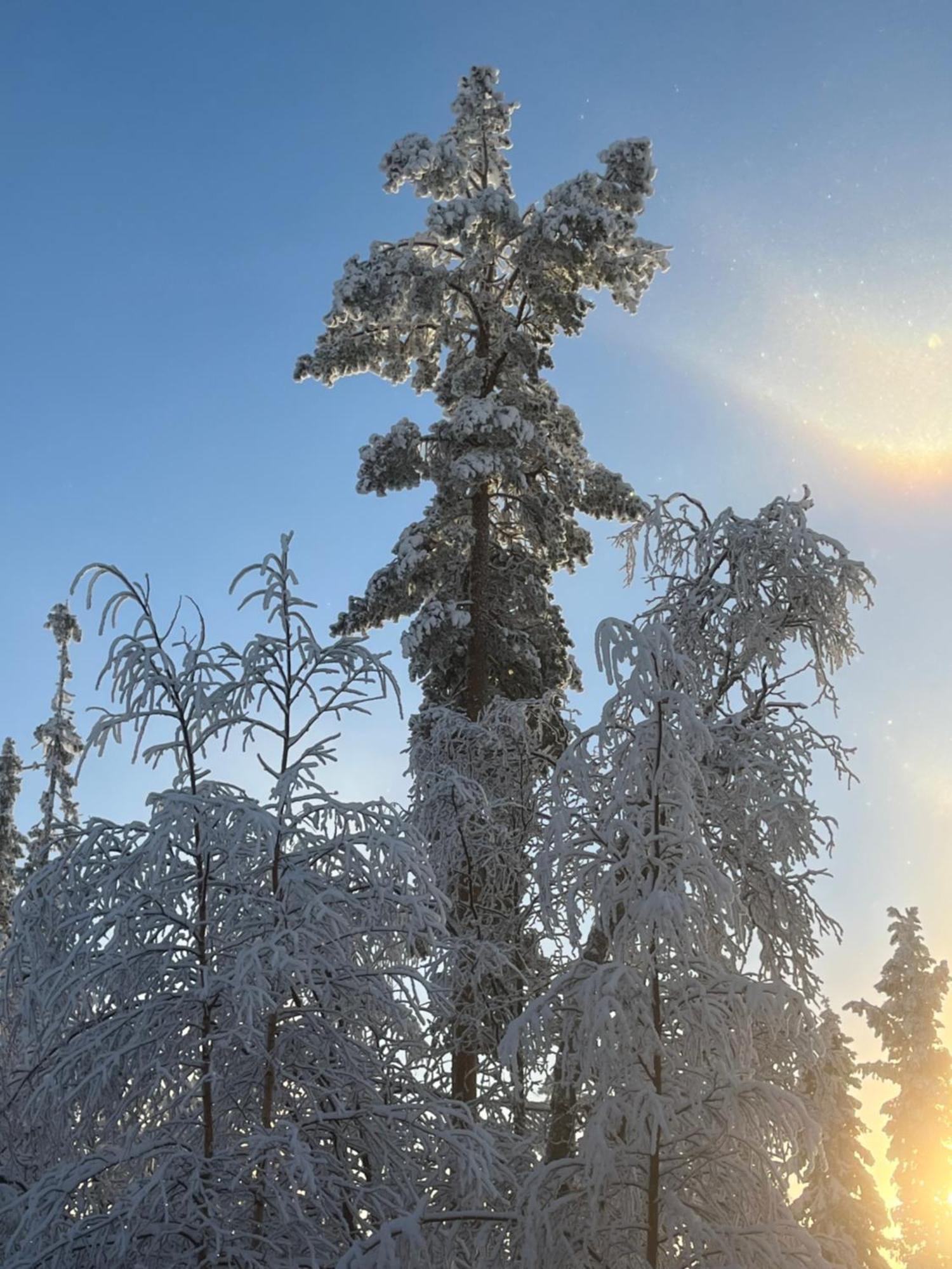 Idre Fjaell, Soederbyn Ski In Ski Out, 30 M Till Pisten Dış mekan fotoğraf